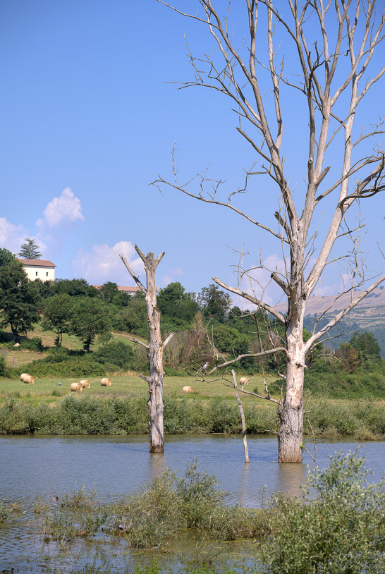 media.Gallery_Esperienze_4SilvaSplendid_Fiuggi