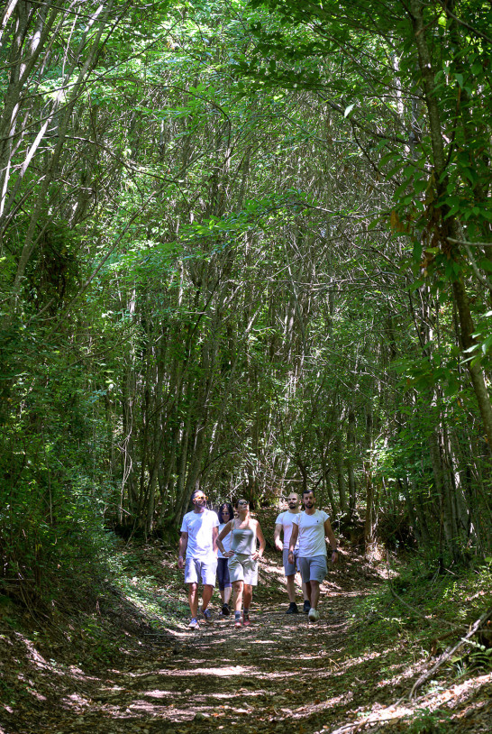 media.Gallery_Esperienze_6SilvaSplendid_Fiuggi