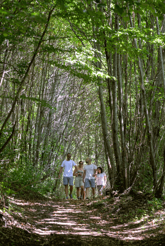 media.passeggiata-boschi