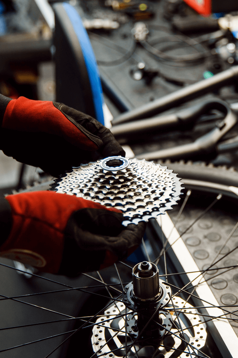 media.Progetto senza titolo (32) (1)