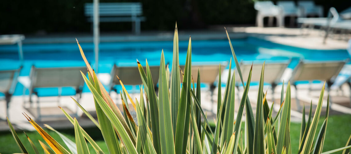 piscina esterna