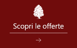 Scopri le offerte